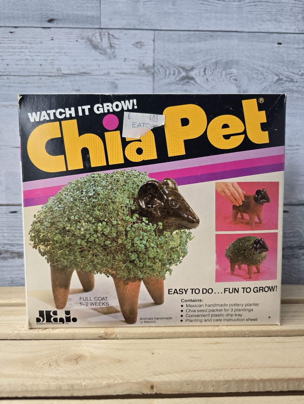 Vintage Chia Pet Decorative Pottery Planter Kit Bull 90s Reto